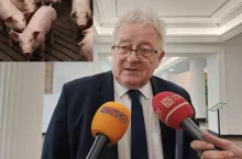 Produkcję trzody chlewnej mamy prowadzoną po zbyt wysokich kosztach, stąd przegrywamy konkurencję z Niemcami czy Danią – uważa minister Czesław Siekierski