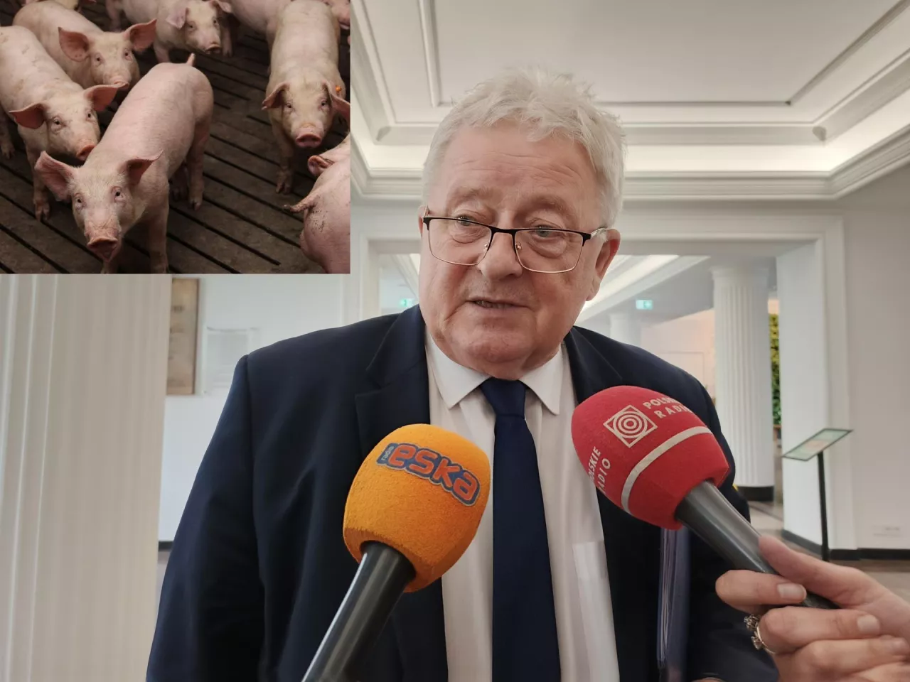 Produkcję trzody chlewnej mamy prowadzoną po zbyt wysokich kosztach, stąd przegrywamy konkurencję z Niemcami czy Danią – uważa minister Czesław Siekierski