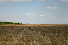 Aplikacja suszowa: czas tchnąć w nią życie!