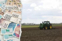 Ceny ziemi w Polsce 2025: ile kosztuje hektar gruntów rolnych?