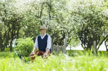 Rozszerzenie o usługi utrzymania zieleni