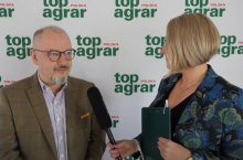 Owady w paszy dla prosiąt zwiększają jej smakowitość