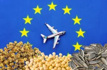 eksport nasion z Ukrainy do UE