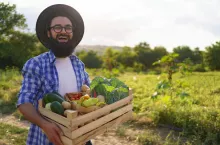 Czy RHD trzeba zgłaszać do urzędu skarbowego?