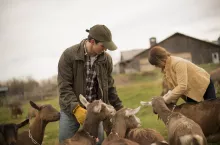 Co rolnicy mogą sprzedawać w ramach działalności MLO?