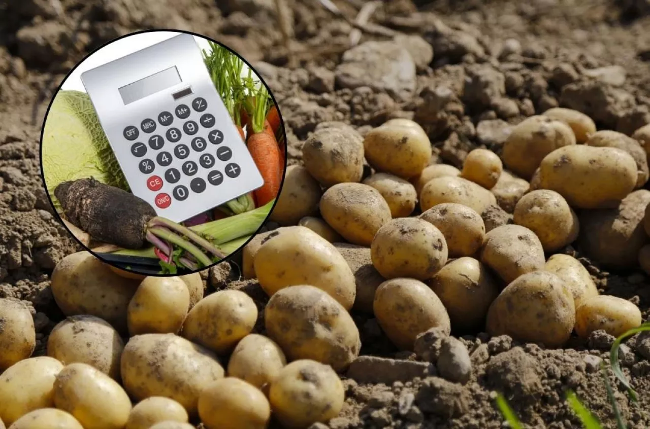 Wysokie ceny warzyw, ziemniaki