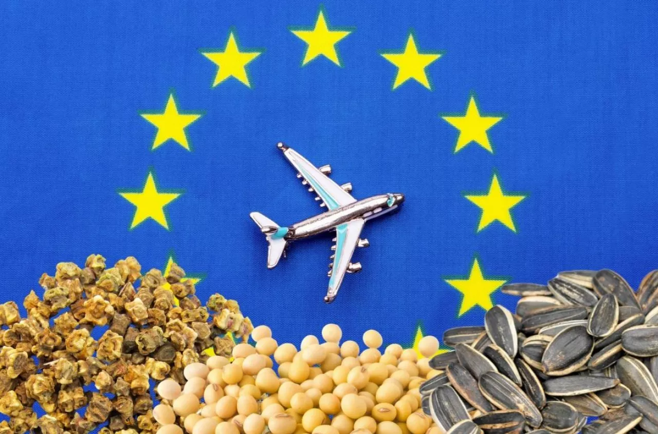 eksport nasion z Ukrainy do UE