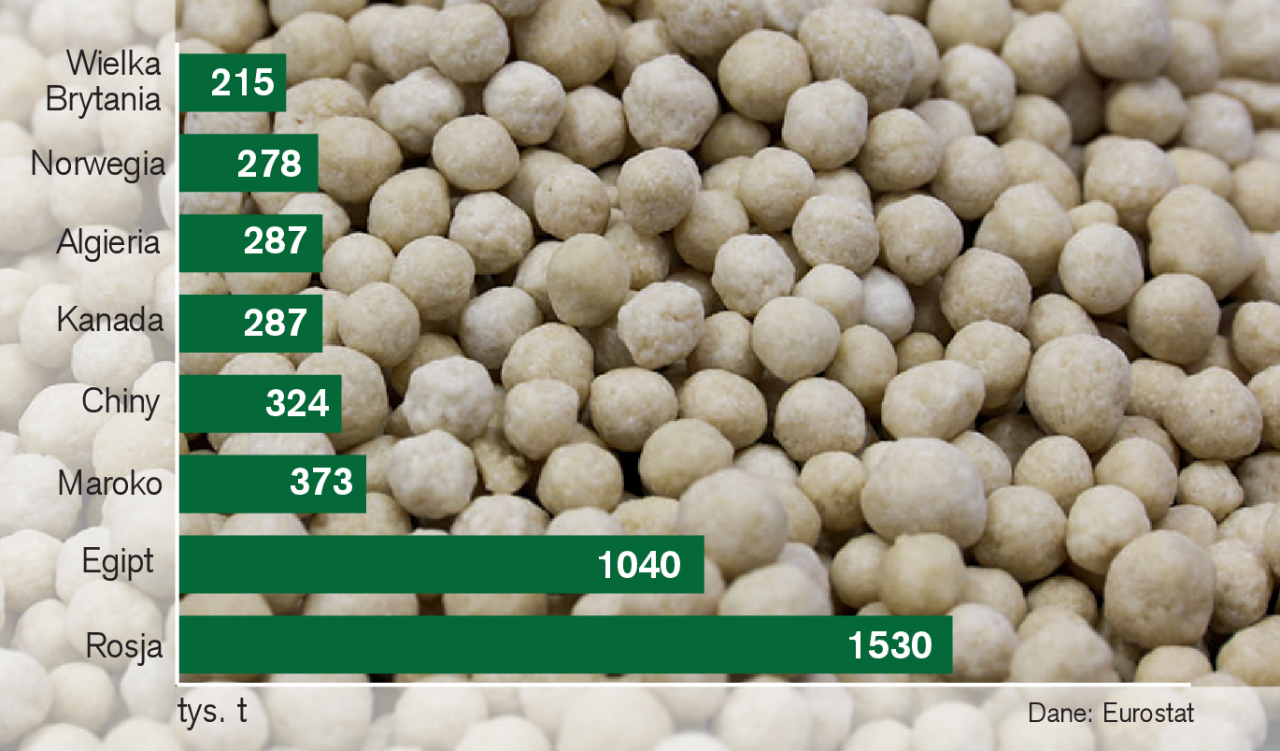 Rys. 1. Import nawozów do UE w I–III 2025 r.
