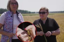 puste kłosy jęczmienia - pogotowie polowe