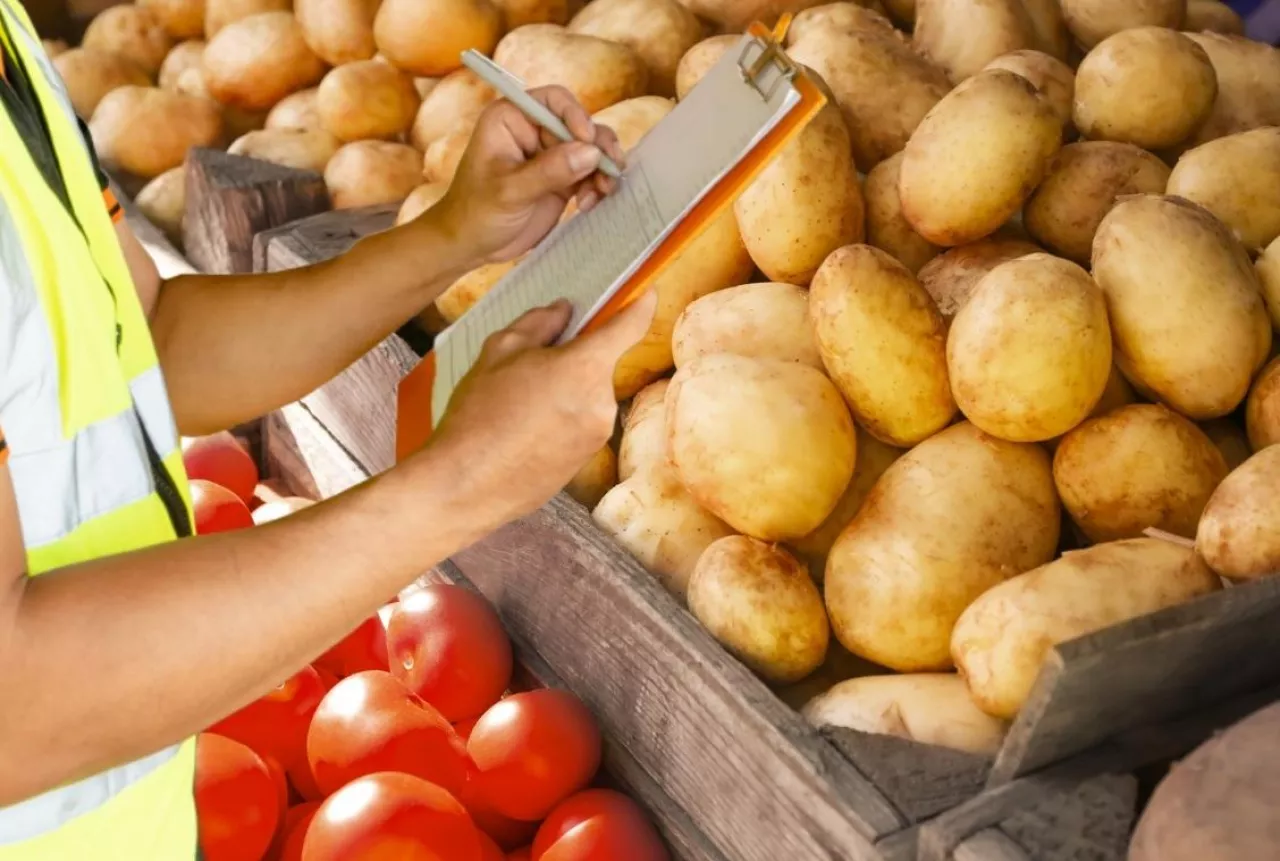 kontrola towaru na rynkach hurtowych