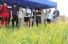 Panorama Pól z Timac Agro Polska