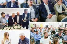 okładka top świnie