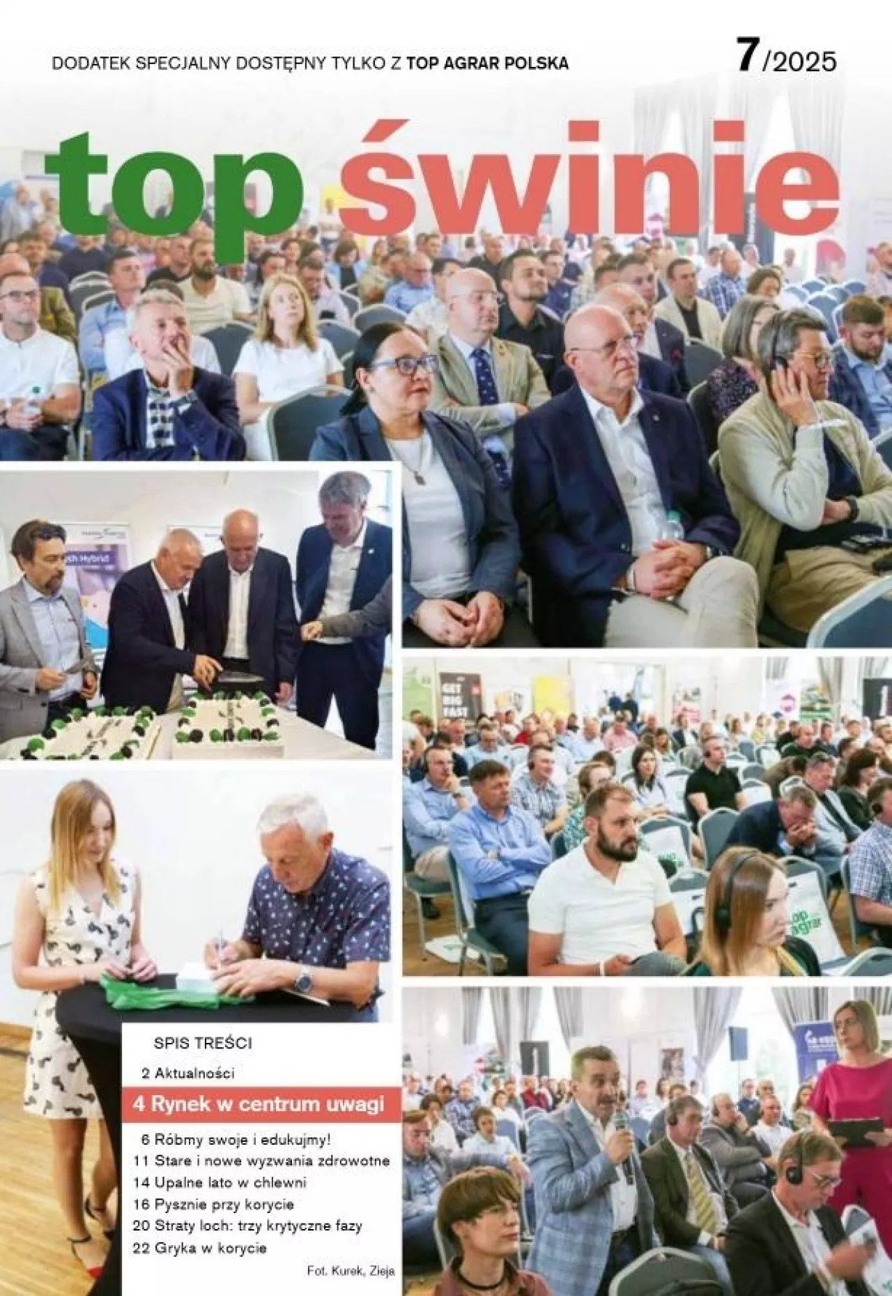 okładka top świnie