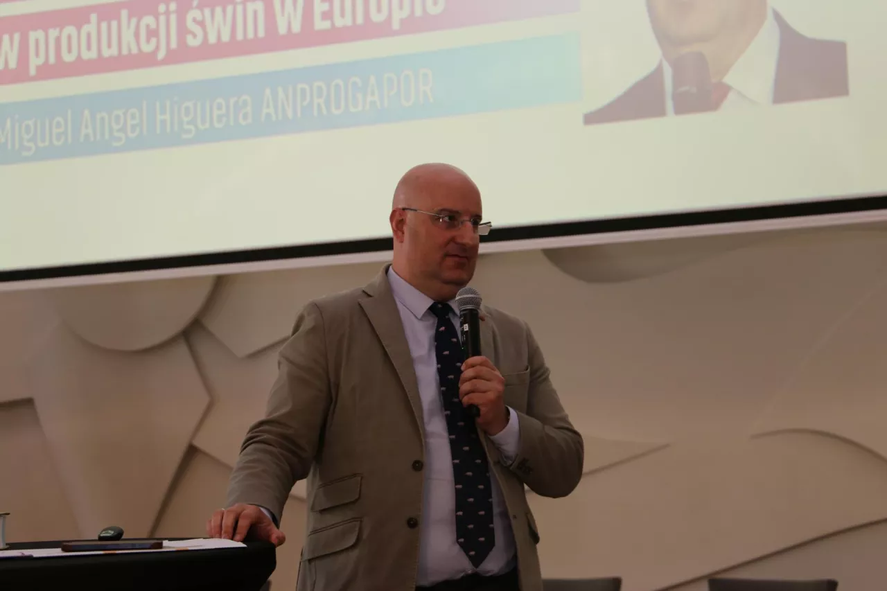 Miguel Angel Higuera, Anprogapor, Forum Świnie 2025