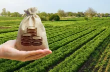 620 zł/ha dopłaty do pszenżyta i grochu. Nowe metodyki Integrowanej Produkcji