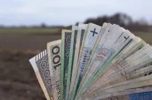 dopłaty bezpośrednie, pieniadze, pola gotówka, pole, rolnictwo