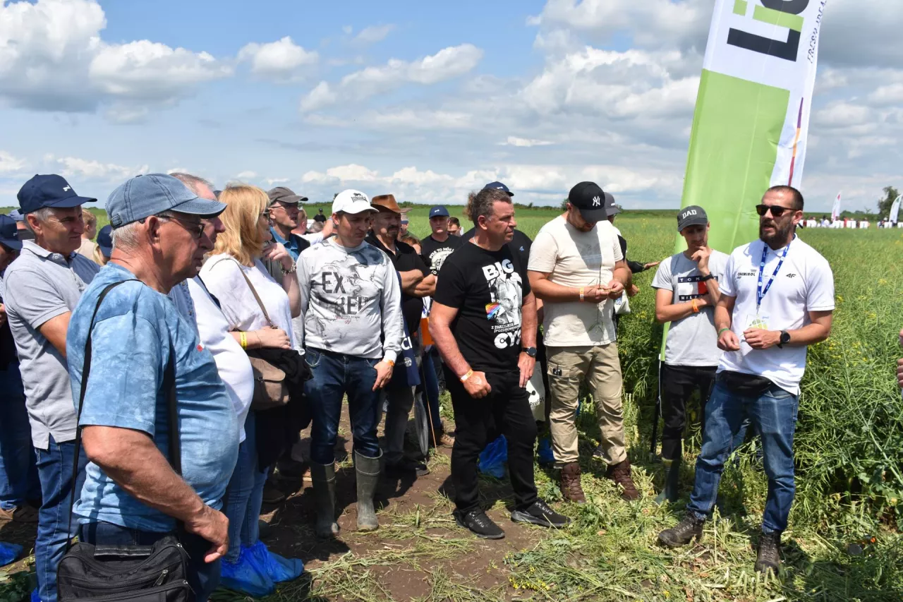 Podczas „Warsztatów polowych” firma Chemirol prezentowała będące w jej ofercie odmiany rzepaku, ale także bogatą kolekcję zbóż