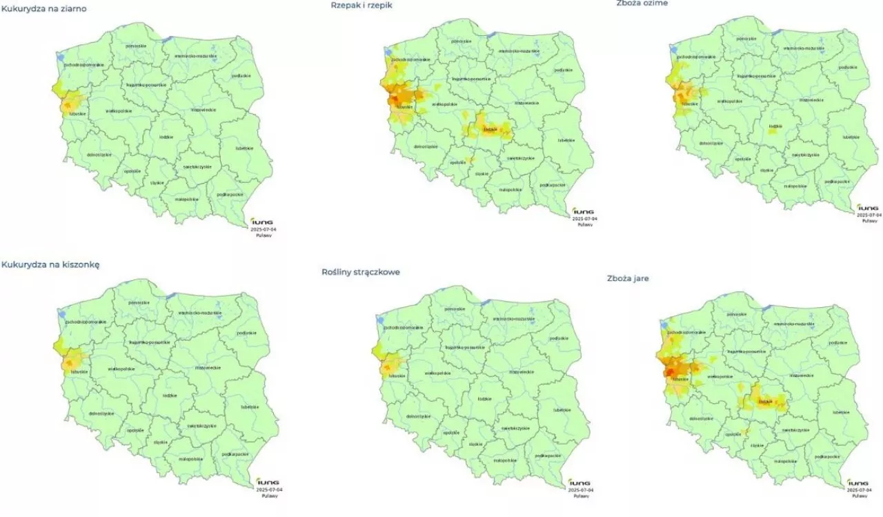 Susza rolnicza obszary zagrożone w Polsce