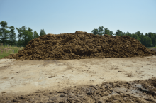 obornik, terminy stosowania obornika