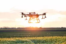 Dron nad polem z kłoszącym zbożem