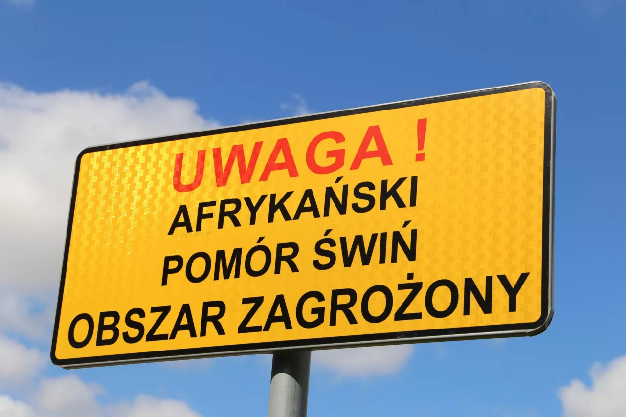 ASF obszar zagrożony