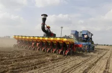 siew rzepaku strip-till siew rzepaku strip-till siew rzepaku strip-till siew rzepaku strip-till siew rzepaku strip-till siew rzepaku strip-till siew rzepaku strip-till siew rzepaku strip-till siew rzepaku strip-till