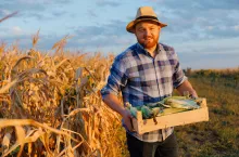 Jak zostać rolnikiem w Polsce? 