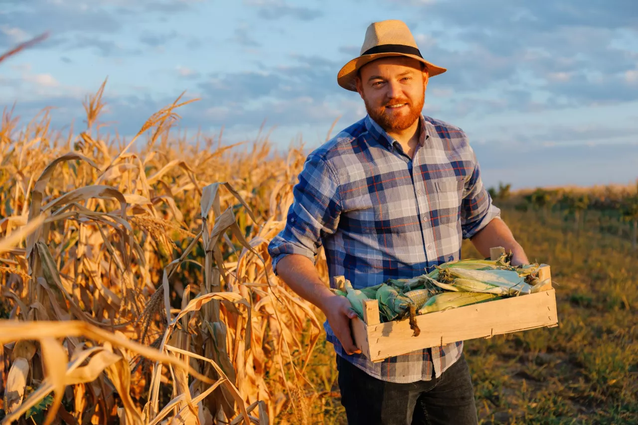 Jak zostać rolnikiem w Polsce? 