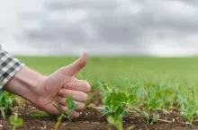 Kiedy rolnik traci ubezpieczenie w KRUS?