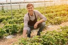 PROW 2014–2020 a PS WPR: co z premią dla młodego rolnika w razie przekazania gospodarstwa? 