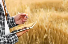 Czy złożenie wniosku w ramach ekoschematu wyklucza ubieganie się o dopłatę na inne grunty?