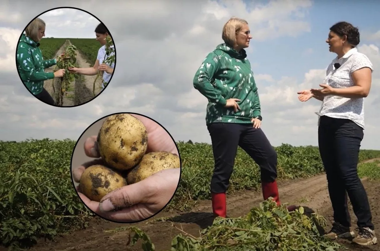 Pogotowie polowe top agrar Polska