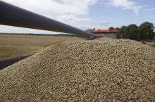 Jęczmień na przyczepie