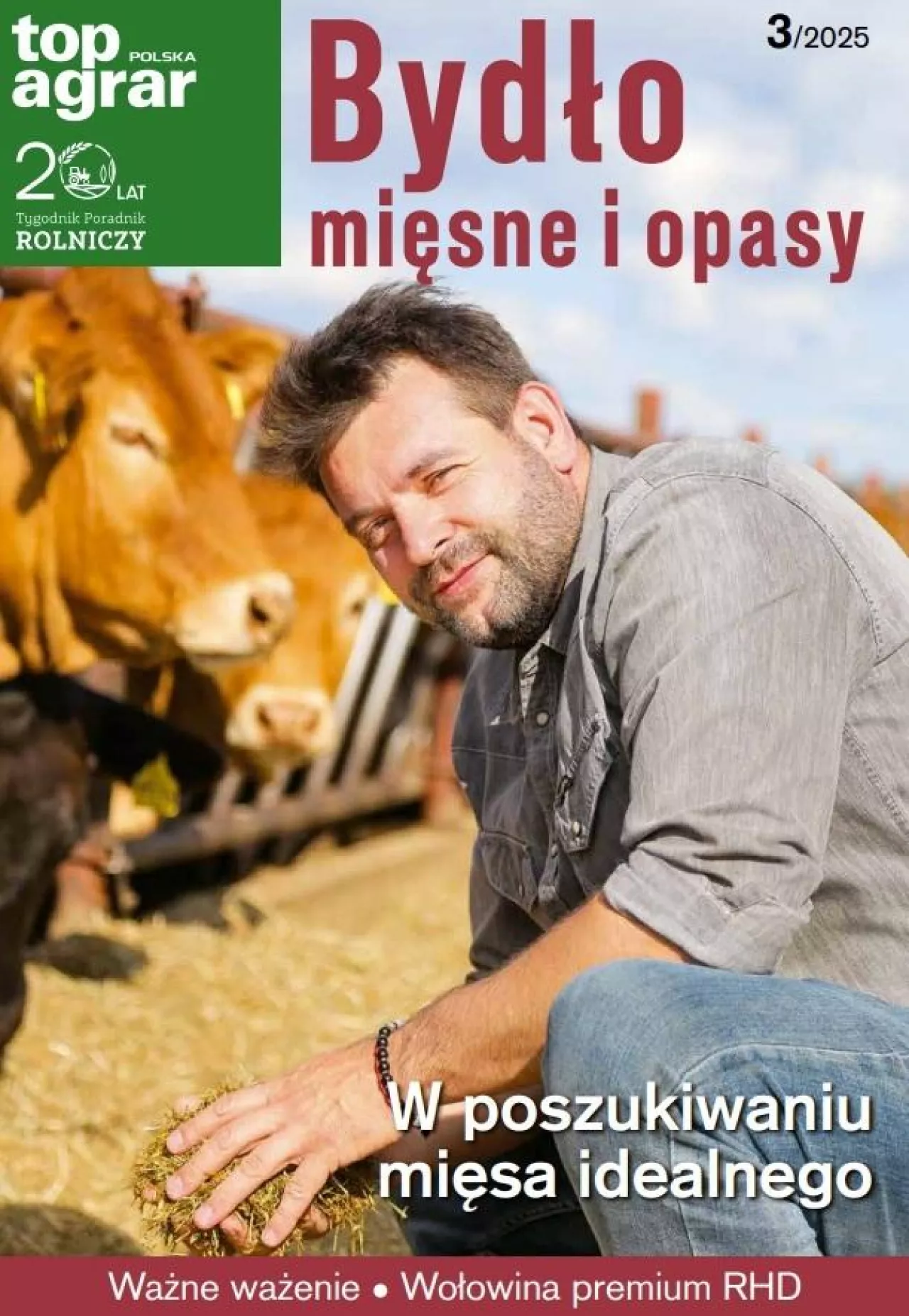 Bydło mięsne i opasy nr 3