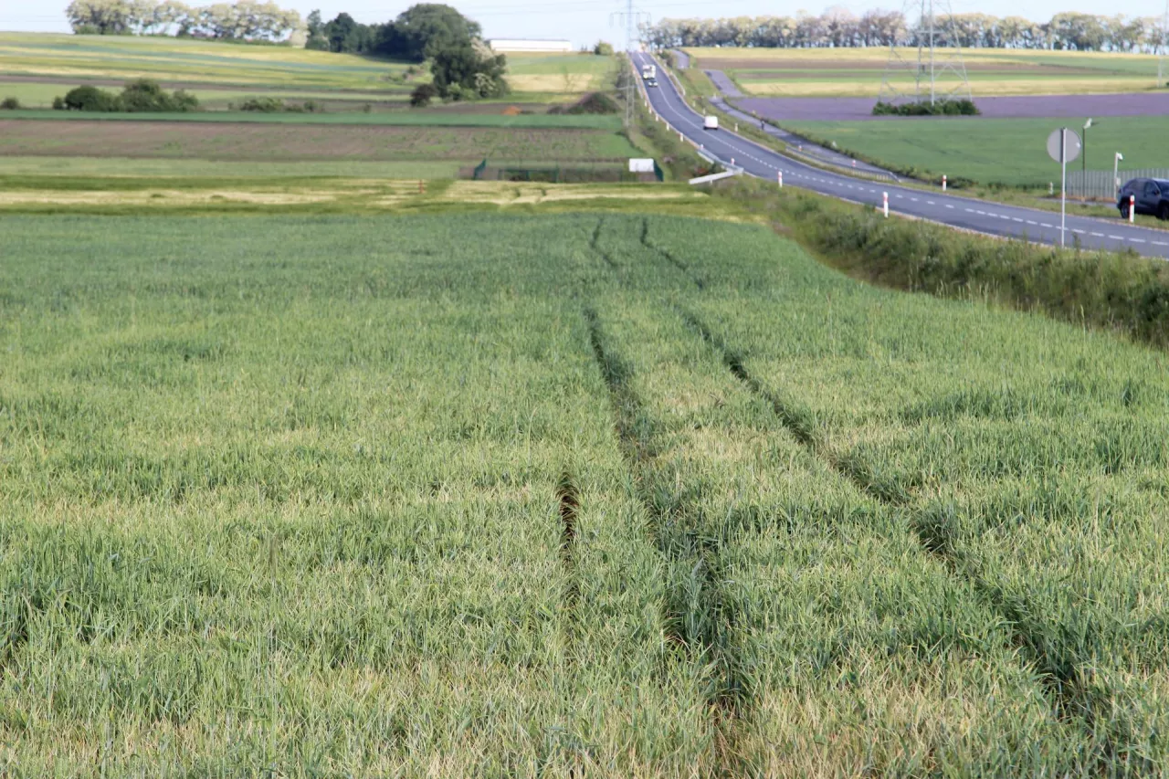 KOWR podaje, że ok. 90% wydzierżawionych gruntów trafia do rolników indywidualnych