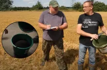 Pogotowie polowe - jak siać międzyplony