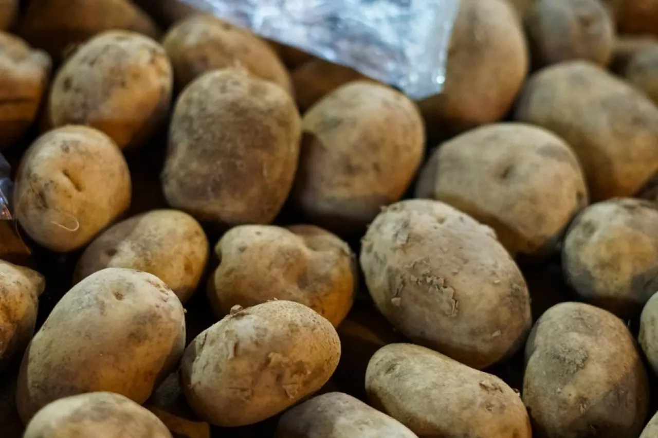 Ceny za ziemniaki UK, UE