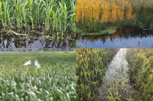 Zalane pola, zniszczone uprawy