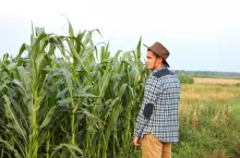 Kwalifikacje rolnicze – jakie wykształcenie uznawane jest za wykształcenie rolnicze?