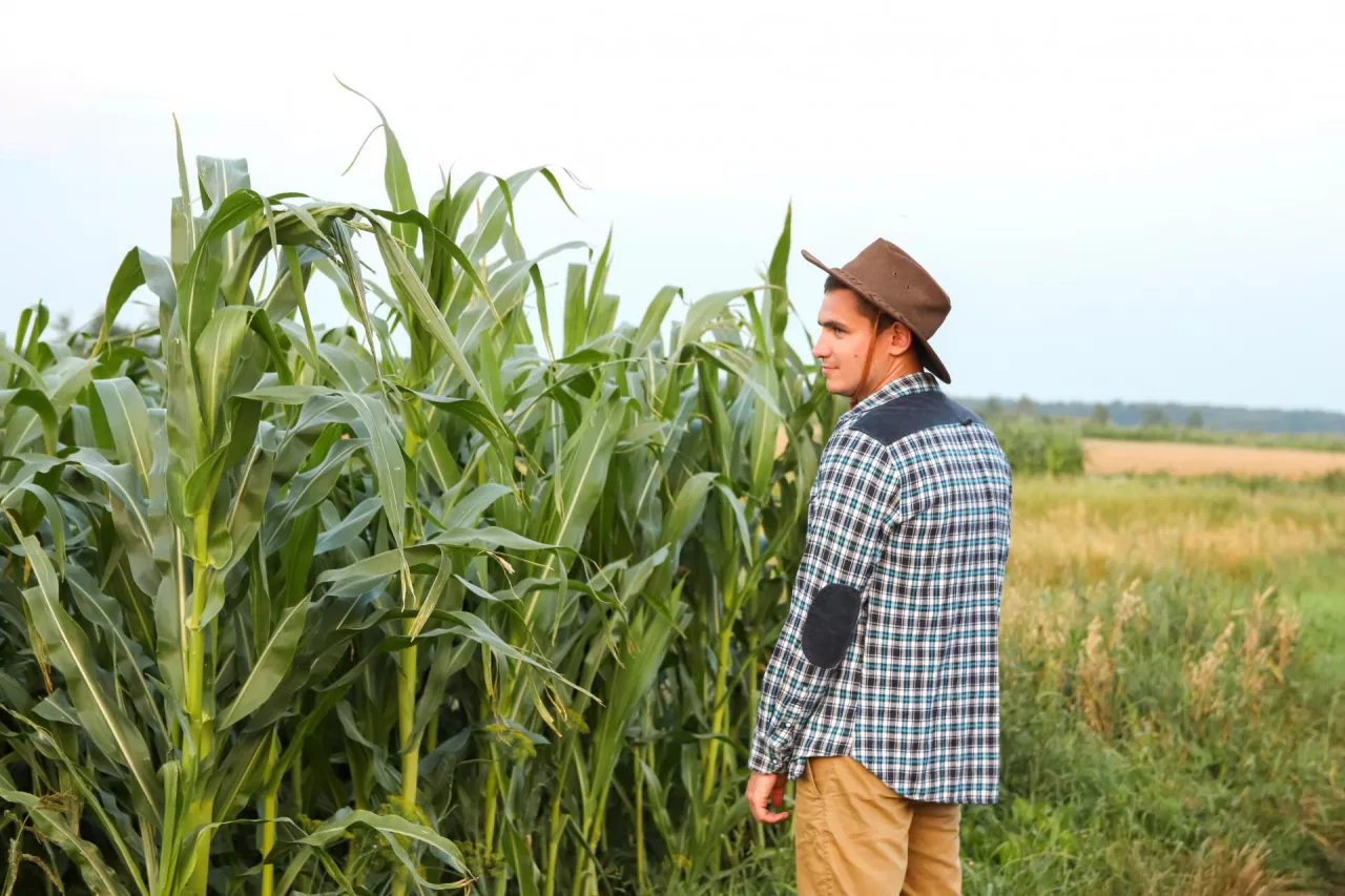 Kwalifikacje rolnicze – jakie wykształcenie uznawane jest za wykształcenie rolnicze?