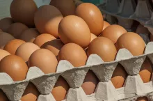 Ceny jaj w UE poszły w górę o 30%