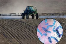 Mikroorganizmy biologia, opryski