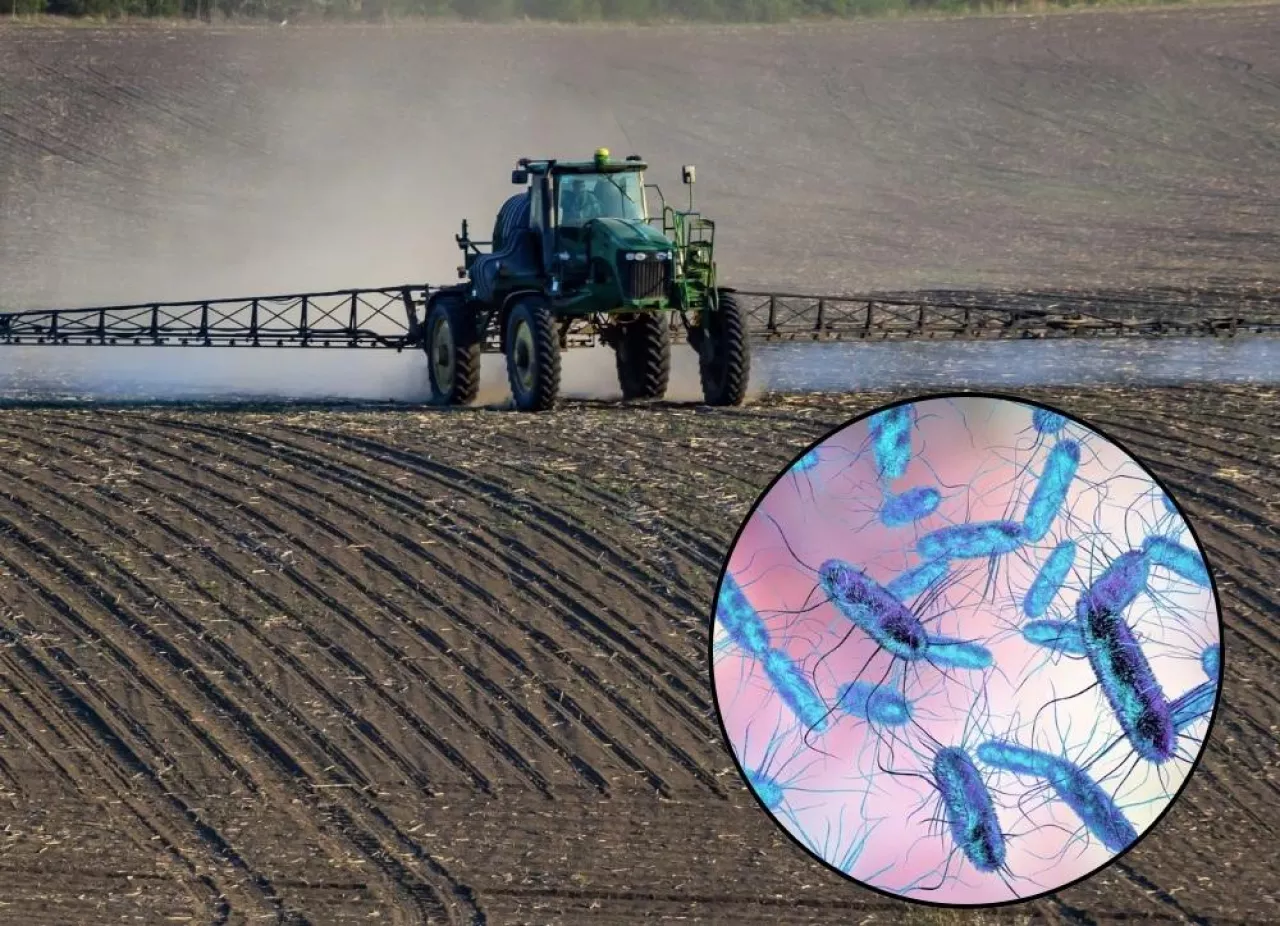 Mikroorganizmy biologia, opryski