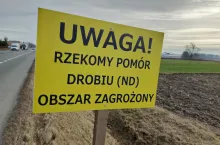 Kolejne ogniska rzekomego pomoru drobiu! Blisko 100 tys. ptaków do utylizacji