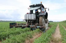 Mazacz herbicydów do upraw rzędowych