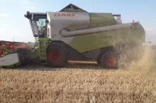 Żniwa kurz z kombajnu