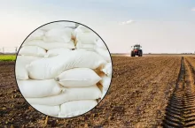 Ceny nawozów sierpień 2025