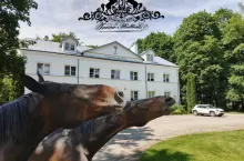 Tegoroczne Dni Konia Arabskiego to: 47. Narodowy Pokaz Koni Czystej Krwi Arabskiej, 56. Aukcja Pride of Poland, Aukcja Summer Sale oraz parady hodowlane w stadninach w Janowie Podlaskim, Michałowie i Białce