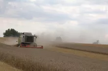żniwa kurz znad kombajnu