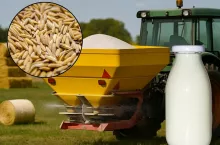 cena nawozów a cena mleka i zboża